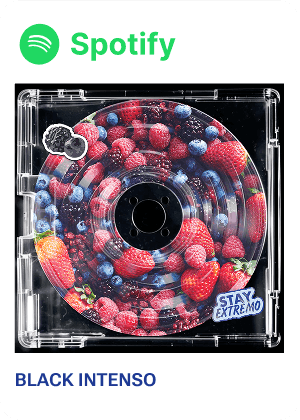 Spotify link for Black Intenso playlist with berry-themed CD design.